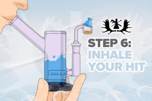 Step-by-step dabbing Whole Melts Extracts