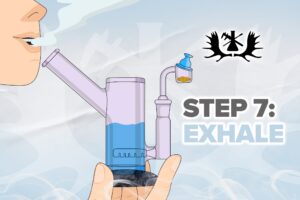 Step-by-step dabbing Whole Melts Extracts