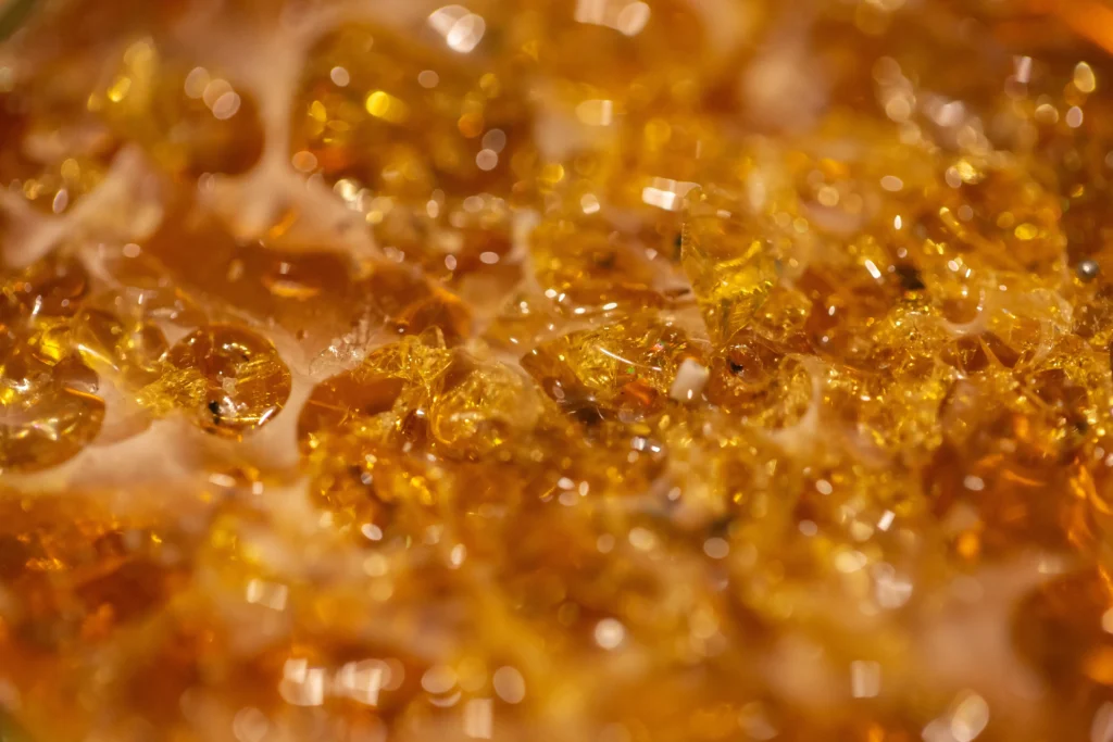 Whole Melt Extracts